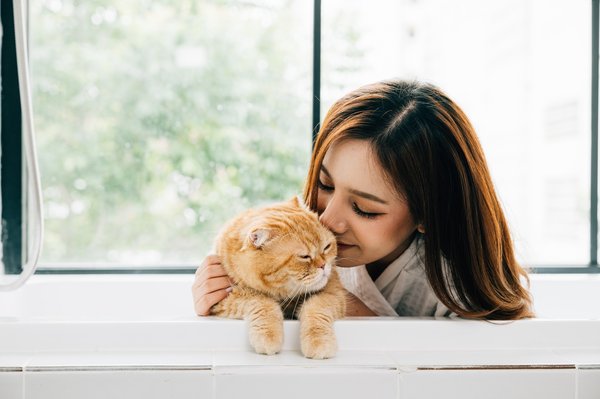 Transform Your British Car"s Interior: Tips for Personalized Lighting Ambiance